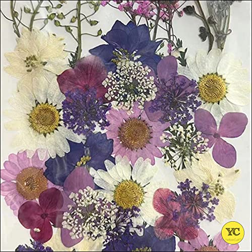 YellowCult Natural Real Dried & Pressed Flowers for Art Craft - Mixed, Multicolor for Soap, Candle, Scrapbooking, DIY, Resin Jewelry, Pendant - [Luxury White & Purple 40-45 pcs] - Image 3