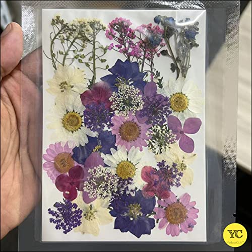 YellowCult Natural Real Dried & Pressed Flowers for Art Craft - Mixed, Multicolor for Soap, Candle, Scrapbooking, DIY, Resin Jewelry, Pendant - [Luxury White & Purple 40-45 pcs] - Image 4