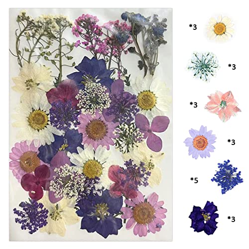 YellowCult Natural Real Dried & Pressed Flowers for Art Craft - Mixed, Multicolor for Soap, Candle, Scrapbooking, DIY, Resin Jewelry, Pendant - [Luxury White & Purple 40-45 pcs] - Image 1