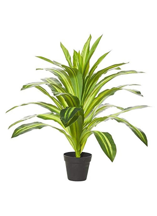 Generic Artificial Dracaena 60cm tall – an elegant green touch that lasts effortlessly  - Image 1