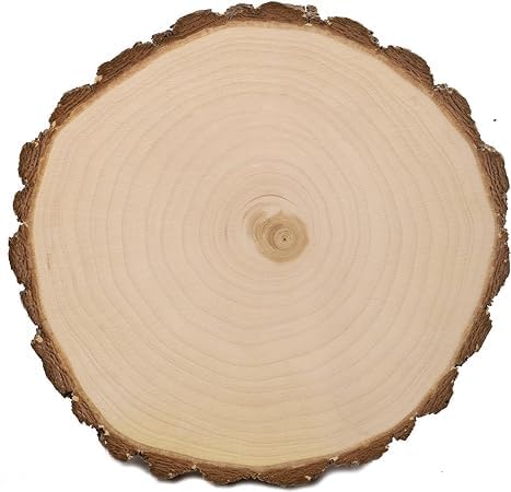 Artnery Wood Slices 78 Inch with Bark Wood Coaster Pieces Craft Wood kit Circles Crafts Christmas Ornaments DIY Crafts with Bark for Crafts Rustic Wedding