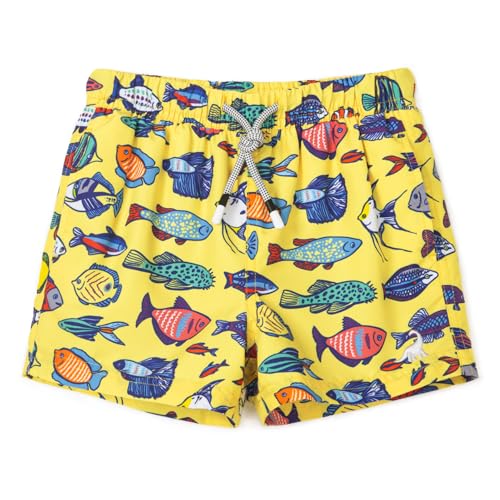 SURF CUZ Boys Swim Trunks Toddler Swim Shorts UPF 50+ Bathing Suit for Boy Swimsuit Mesh Swimwear Quick Dry Beach Board Shorts Yellow Fish School 2T - Image 3