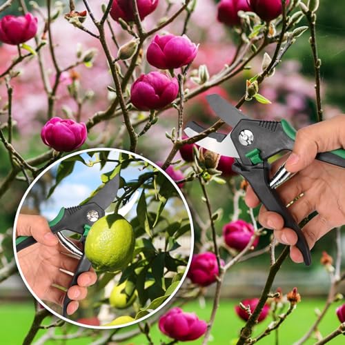 OUTO Bypass Pruning 8 Inch Shears with Heavy Duty Carbon Steel Cutter Sharp Blade Grip Handle Trimmer Plant Clipper Tool Gardening Scissors for Home Garden Lawn Backyard Patio (Pack of 2, Green) - Image 5