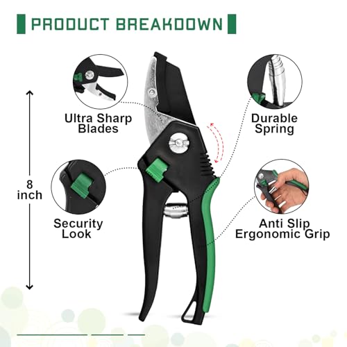 OUTO Bypass Pruning 8 Inch Shears with Heavy Duty Carbon Steel Cutter Sharp Blade Grip Handle Trimmer Plant Clipper Tool Gardening Scissors for Home Garden Lawn Backyard Patio (Pack of 2, Green) - Image 2