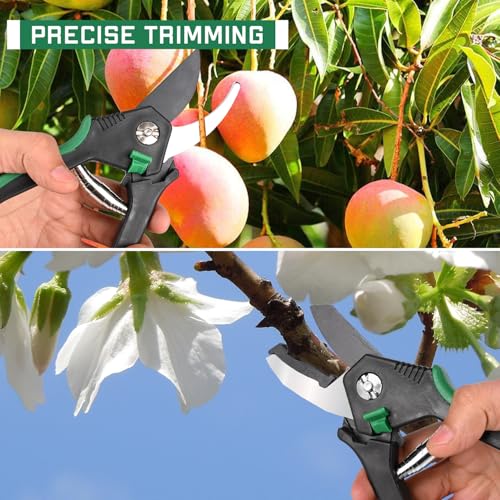 OUTO Bypass Pruning 8 Inch Shears with Heavy Duty Carbon Steel Cutter Sharp Blade Grip Handle Trimmer Plant Clipper Tool Gardening Scissors for Home Garden Lawn Backyard Patio (Pack of 2, Green) - Image 4