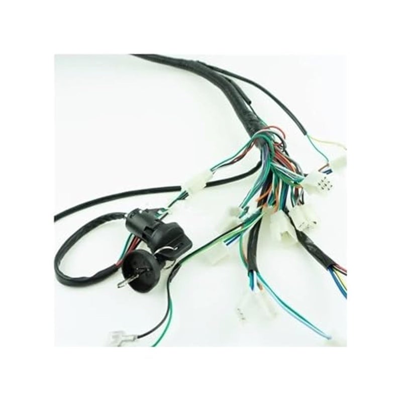 Wivplex Full Wiring Harness for 150cc to 300cc Engines - Image 2