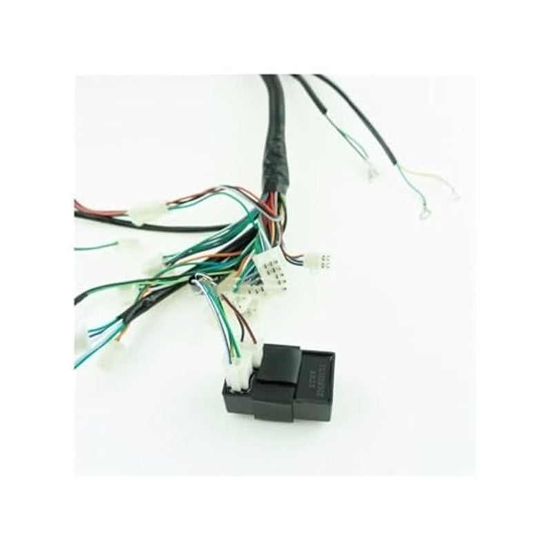 Wivplex Full Wiring Harness for 150cc to 300cc Engines - Image 3