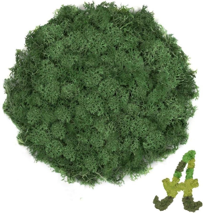 TCYPUHL 3.5 OZ Dark Green Reindeer Moss, Preserved Moss for Plants, Moss Decor, Green Moss for Crafts, Moss for Potted Plants, Craft Decorative Moss Decor, Dried Moss - Image 1
