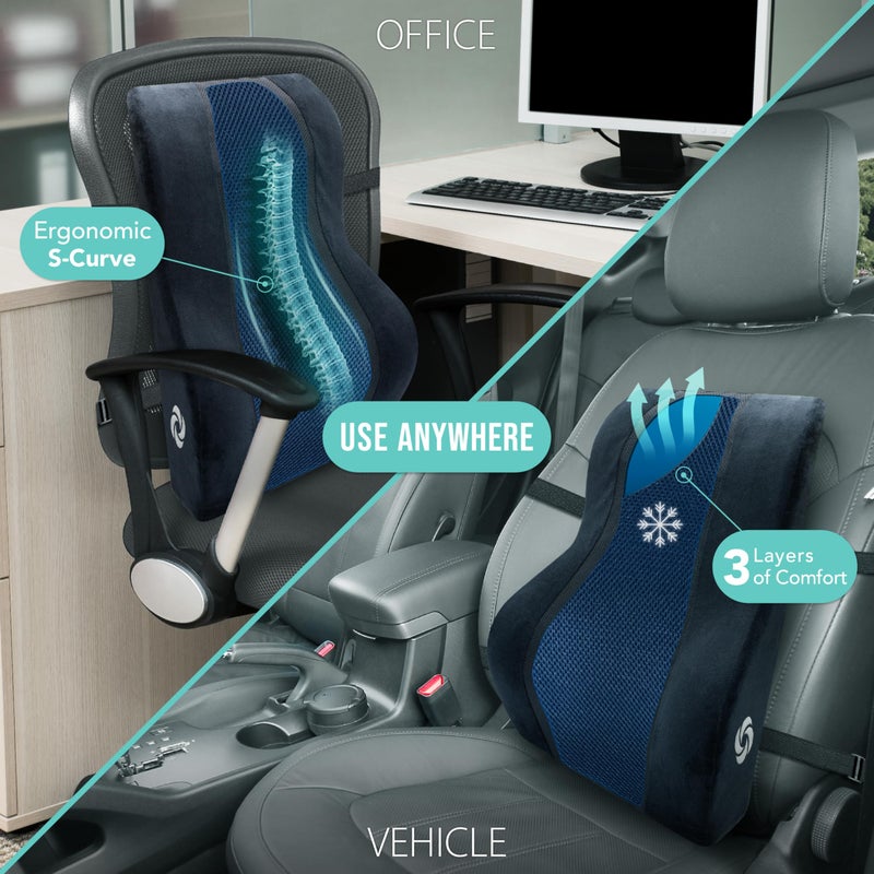 Samsonite وسادة دعم أسفل الظهر من سامسونيت - مسند ظهر مريح لمقعد المكتب ومقعد السيارة، وسادة من رغوة الذاكرة لتخفيف آلام أسفل الظهر، شبكة قابلة للتنفس، حزام قابل للتعديل، شبكة سوداء/زرقاء - Image 2