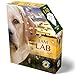 Madd Capp I Am Lab 550 Puzzle - Image 2