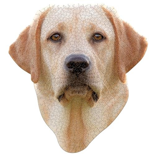 Madd Capp I Am Lab 550 Puzzle - Image 5