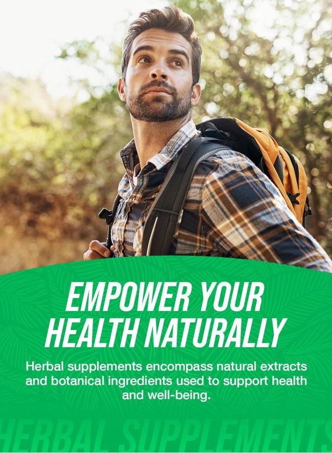 BulkSupplements .com Cnidium Fruit Extract Powder, 17.6 Ounce, Herbal Supplement, Gluten Free, No Fillers, No Artificial Flavors, Bone Strength - Image 3