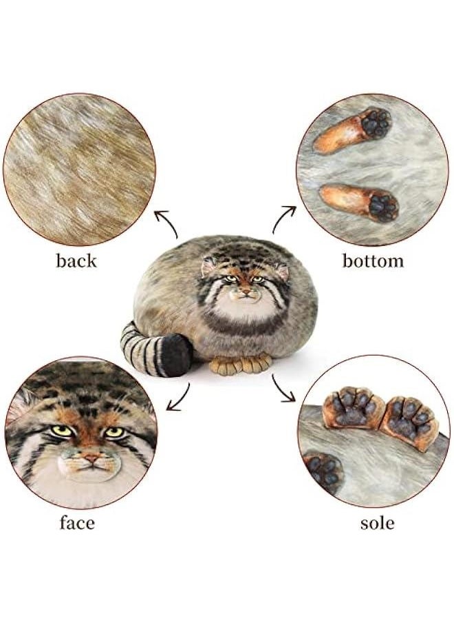Steppe Cat Plush, Cat Stuffed Animal 30cm/12inch, Pallas Cat Plush Pillow, Cute Plushies for Girls, Soft Plush Pillow, Throw Pillow Doll Decoration Doll Gift for Kids Boys Party  - Image 2