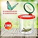 TORINALITAL Insert Bug Viewer for Kids 4PCS Magnifying Insect Box Bug Catcher Kit for Kids Bugs Magnifier Container Critter Insect Bugs Cage Magnifier Backyard Explorer Insects Viewer Collecting Kit - Image 4
