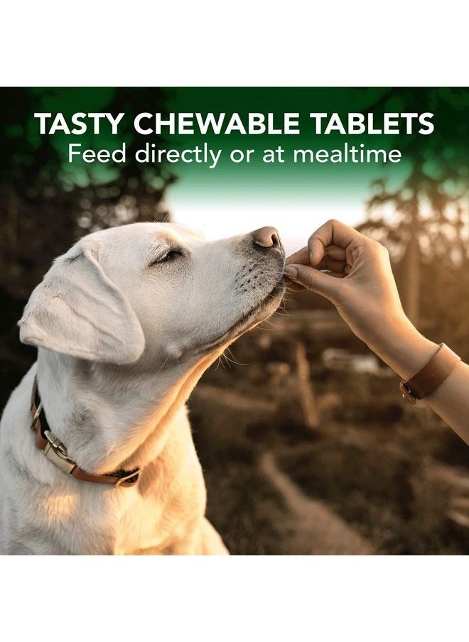 Seasonal Allergy Relief | Dog Allergy Supplement | Relief from Dry or Itchy Skin | 60 Chewable Tablets - pzsku/Z609826660E0A03806EFEZ/45/_/1687426321/09770493-9462-49b7-96a9-67daa938f86a