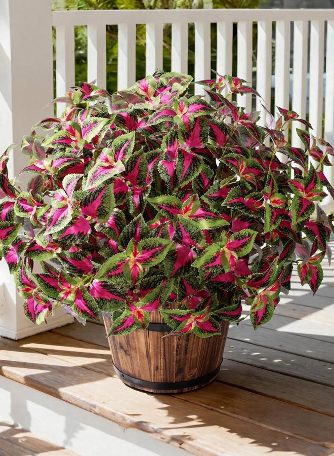 florisso Artificial Greenery Plants Outdoor, Faux Plants UV Resistant Silk Plants with Stems, Coleus Fake Plants for Outside Garden Patio Hanging Planter Pathway Front Porch Decoration(Red) - Image 1