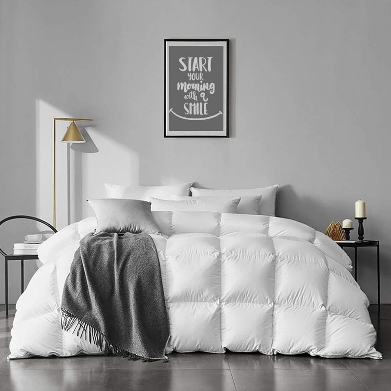 APSMILE Twin Size Feathers Down Comforter Ultra Soft All Seasons 100 Organic Cotton Duvet Insert Medium Warm Quilted Bed Comforter with Corner Tabs 68x90Ivory White