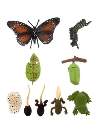 Insect Life Cycle Figures 2 Sets, Life Cycle Figurines of a Monarch Butterfly and a Frog Realistic Education Insects Life Stages Figures Insect Growth Cycle Model Toy Preschool Cognition Playset - pzsku/Z609ECEA905881E4D3FC4Z/45/_/1724775237/737c4c6b-ec8f-4458-9cb4-3a768c78e092