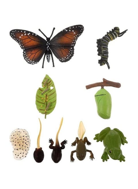 Insect Life Cycle Figures 2 Sets, Life Cycle Figurines of a Monarch Butterfly and a Frog Realistic Education Insects Life Stages Figures Insect Growth Cycle Model Toy Preschool Cognition Playset