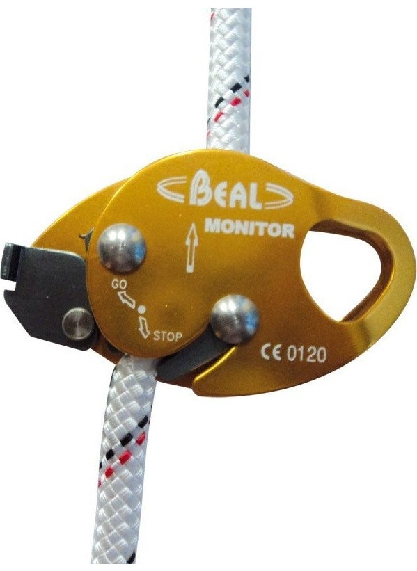 BEAL Monitor 
