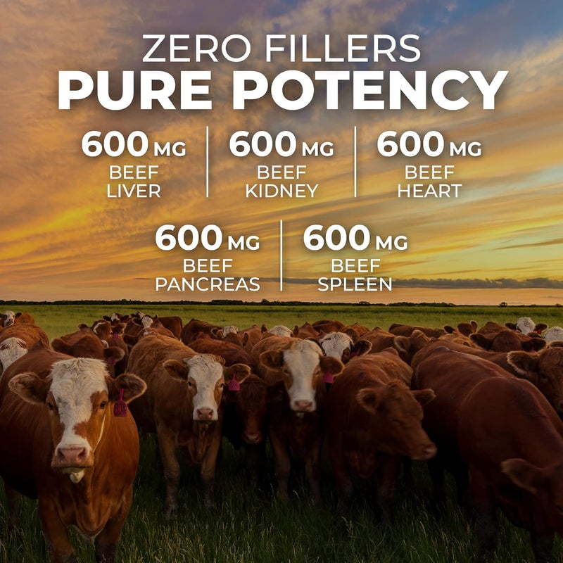 ForestLeaf مكمل لحم البقر من فوريست ليف للأعضاء  من حيوانات تتغذى على العشب  مرفوعة في المراعي  صحة الجسم الكاملة  مركب أداء الأعضاء مع 3000 ملغ من كبد البقر المجفف  القلب  الكلى  البنكرياس  الط splen 180 كبسولة - Image 5