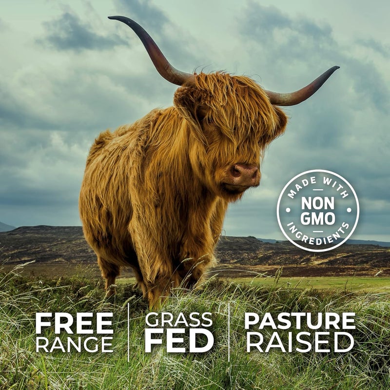 ForestLeaf مكمل لحم البقر من فوريست ليف للأعضاء  من حيوانات تتغذى على العشب  مرفوعة في المراعي  صحة الجسم الكاملة  مركب أداء الأعضاء مع 3000 ملغ من كبد البقر المجفف  القلب  الكلى  البنكرياس  الط splen 180 كبسولة - Image 4