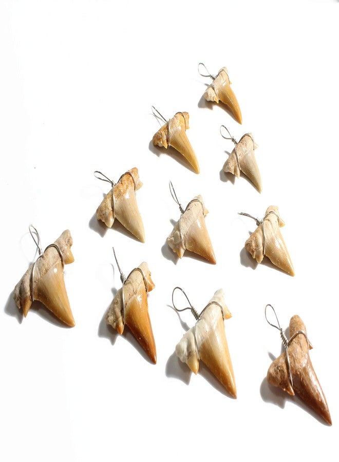 Dey Designs Wire Wrapped Fossilized Shark Teeth for Necklace - Shark Tooth Necklace Charm Pendant - Authentic Fossilized Prehistoric Mini Wire Wire Wrapped Shark Teeth (10 Pack) from Morocco - Image 2