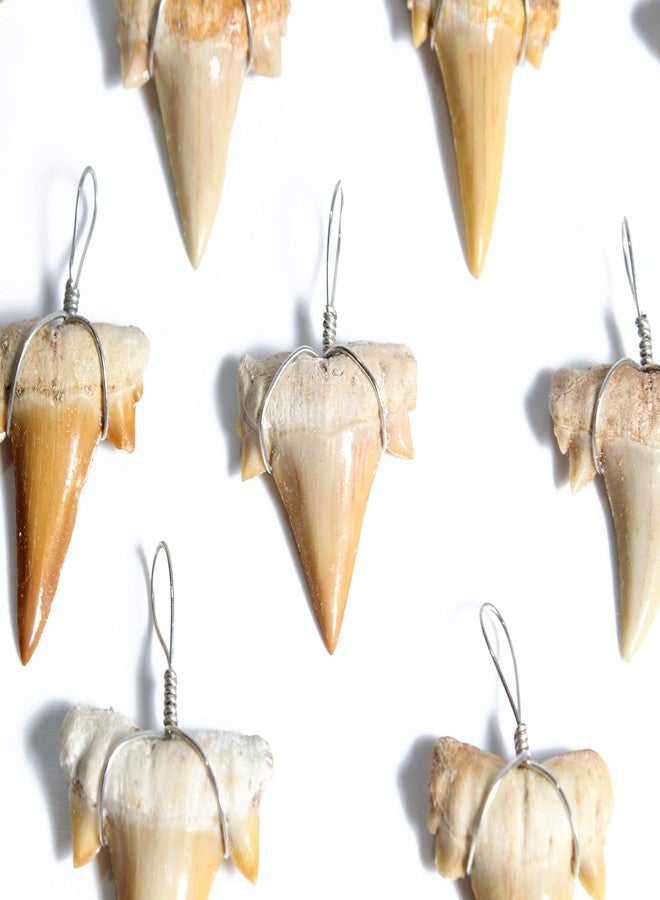 Dey Designs Wire Wrapped Fossilized Shark Teeth for Necklace - Shark Tooth Necklace Charm Pendant - Authentic Fossilized Prehistoric Mini Wire Wire Wrapped Shark Teeth (10 Pack) from Morocco - Image 4