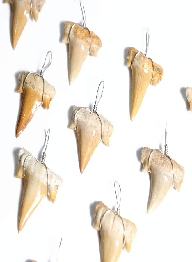 Dey Designs Wire Wrapped Fossilized Shark Teeth for Necklace - Shark Tooth Necklace Charm Pendant - Authentic Fossilized Prehistoric Mini Wire Wire Wrapped Shark Teeth (10 Pack) from Morocco - Image 3