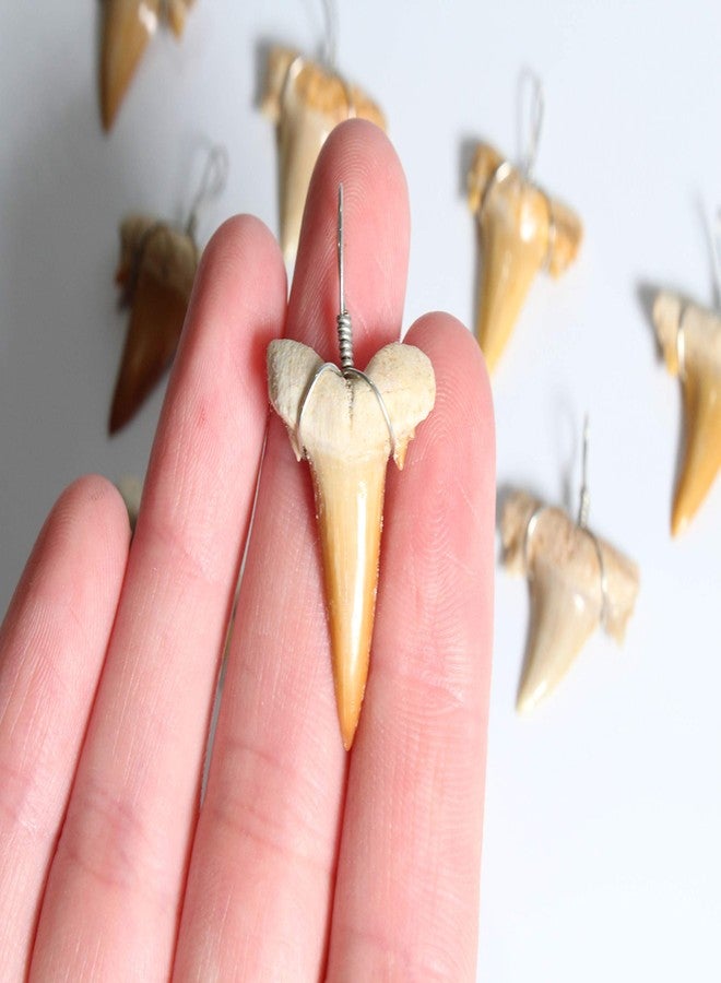 Dey Designs Wire Wrapped Fossilized Shark Teeth for Necklace - Shark Tooth Necklace Charm Pendant - Authentic Fossilized Prehistoric Mini Wire Wire Wrapped Shark Teeth (10 Pack) from Morocco - Image 5