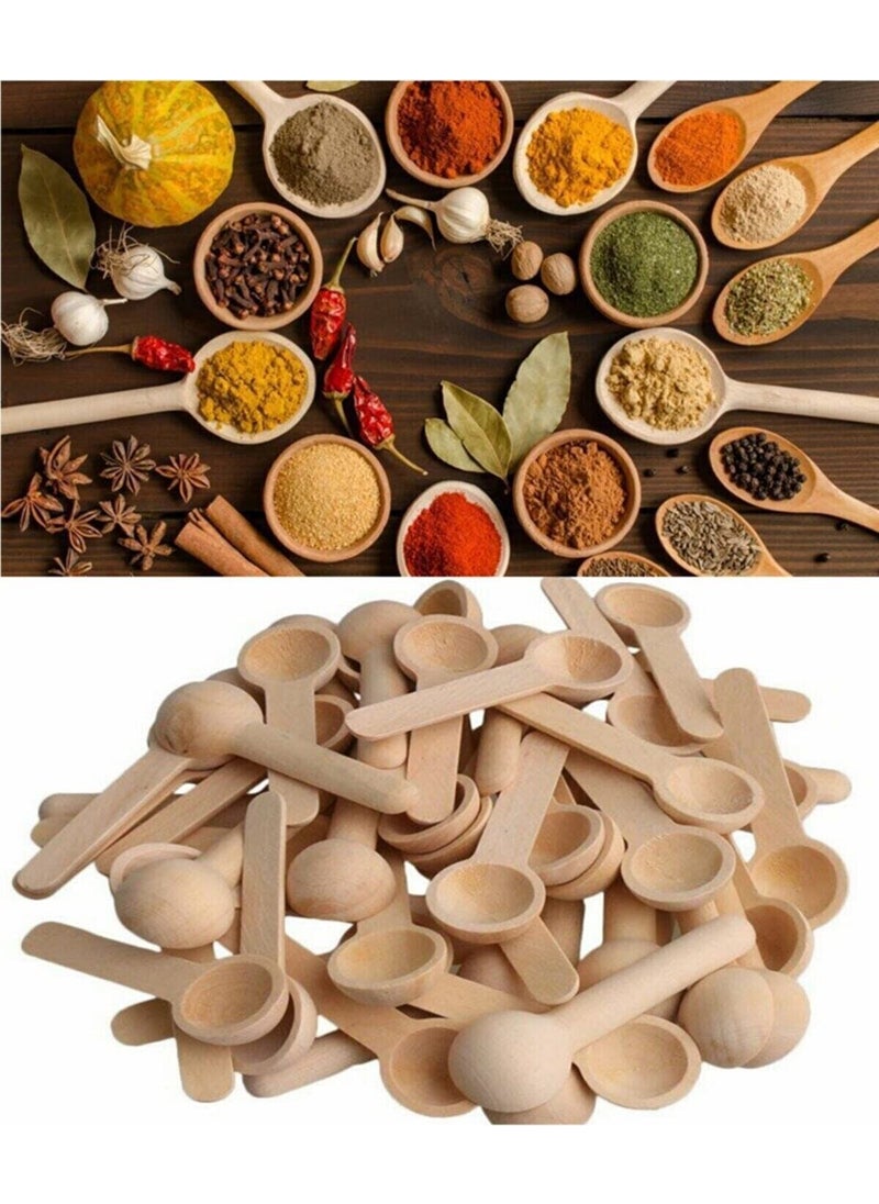 Fbz Home - 12 Mini Spice Spoons - Image 1