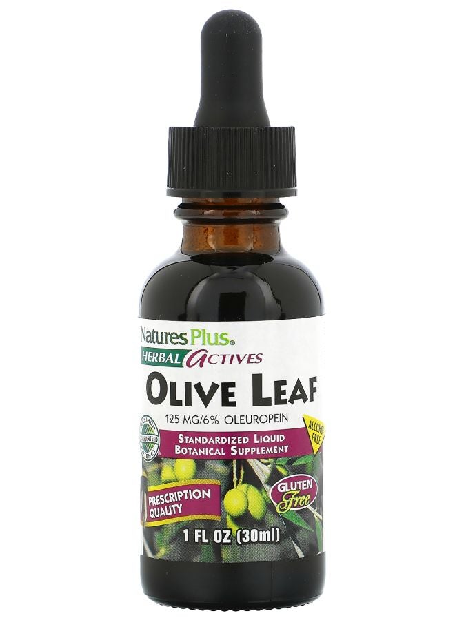 Herbal Actives Olive Leaf Alcohol Free 1 fl oz (30 ml)