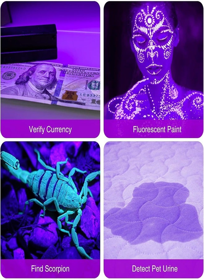 Zikra , 2 Pack UV Flashlights, 12 LED 395nm Blacklight Flash Light, Mini UV Light Torch Detector for Dog Pet Urine Stains, Bed Bugs and Scorpions, Batteries not Included - Image 4