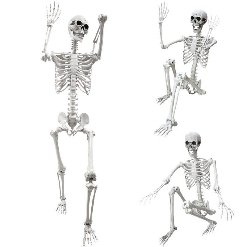 Wocst 54Ft Halloween Life Size Human Skeleton with Movable Joints for Halloween Props Decorations