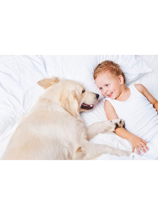 Comfortica Classics 1000 Thread Count 100% Egyptian Cotton Sateen Weave Queen Pillowcase Set of 2, Dark Grey - Image 4