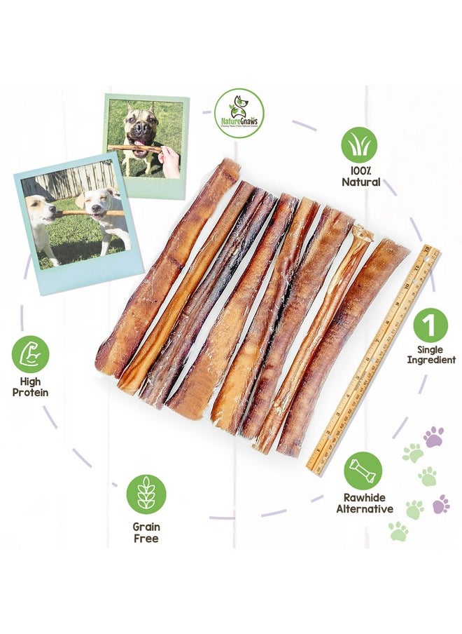 NATURE Extra Large Bully Sticks For Dogs 1112" (6 Count)  Thick Long Lasting For Aggressive Chewers And Heavy Chewers  Natural Beef Dog Chew Bones  - Image 2
