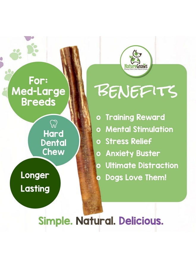 NATURE Extra Large Bully Sticks For Dogs 1112" (6 Count)  Thick Long Lasting For Aggressive Chewers And Heavy Chewers  Natural Beef Dog Chew Bones  - Image 3