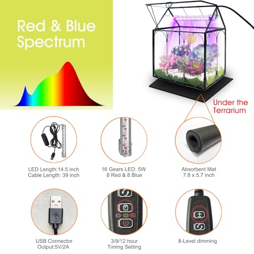 Rifny Plant Terrarium Kit with Grow Light, Rifny Small Glass Terrarium Jar with Absorbent Mat and Lid for Venus Fly Trap Succulent Live Air Plants Indoor Home Office Decor (Black, 7.1 x 4.8 x 8.8 inch) - Image 4