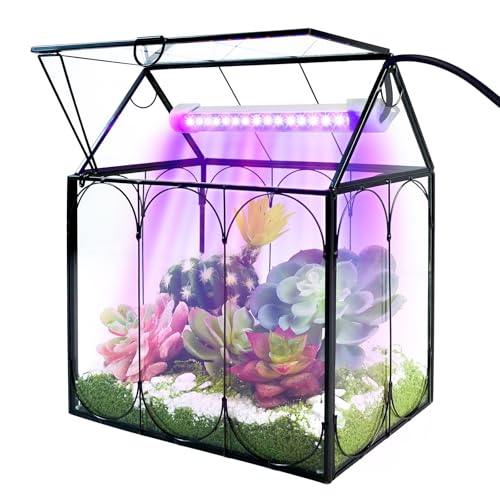 Rifny Plant Terrarium Kit with Grow Light, Rifny Small Glass Terrarium Jar with Absorbent Mat and Lid for Venus Fly Trap Succulent Live Air Plants Indoor Home Office Decor (Black, 7.1 x 4.8 x 8.8 inch) - Image 1