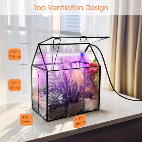 Rifny Plant Terrarium Kit with Grow Light, Rifny Small Glass Terrarium Jar with Absorbent Mat and Lid for Venus Fly Trap Succulent Live Air Plants Indoor Home Office Decor (Black, 7.1 x 4.8 x 8.8 inch) - Image 5