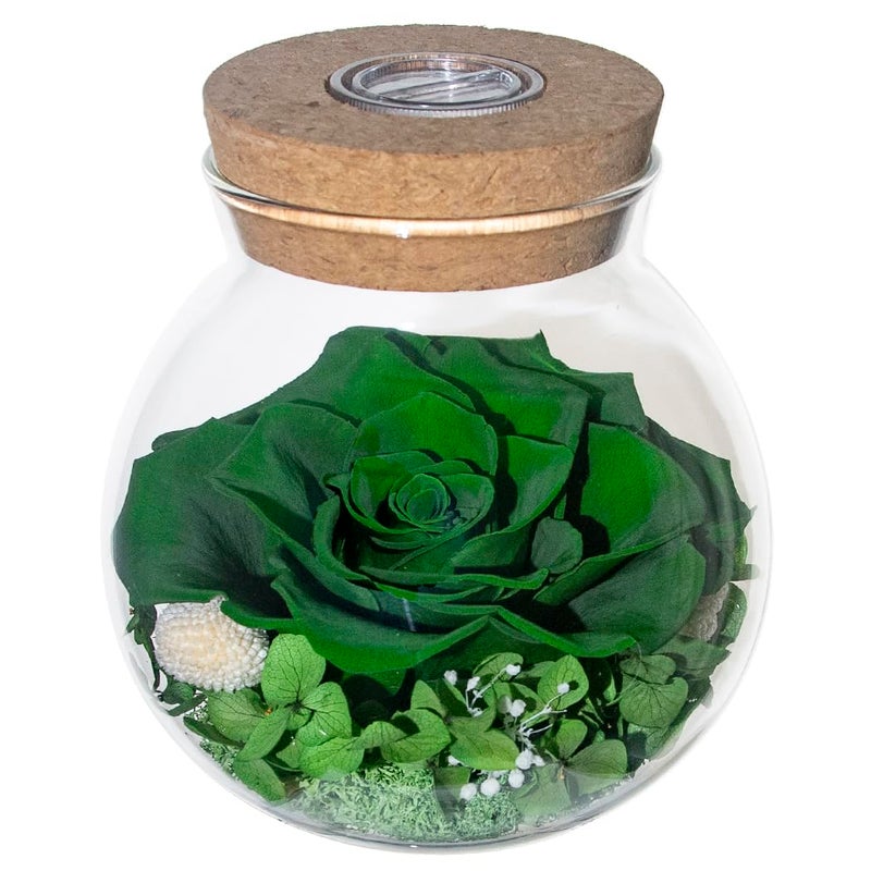 Roliys Preserved Real Roses With Colorful Mood Light Wishing Bottle Eternal Rose Never Withered Flowers For Bedroom Party Table Decor  Christmas Decorations A Gifts For Women 4.3Inch1Pcs (Green) - Image 1
