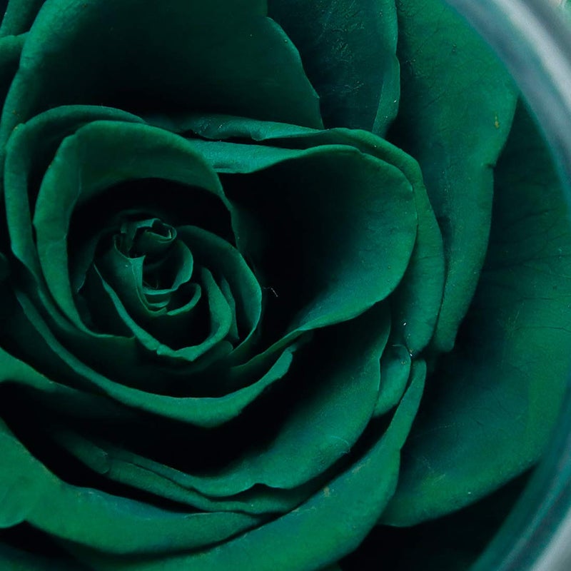 Roliys Preserved Real Roses With Colorful Mood Light Wishing Bottle Eternal Rose Never Withered Flowers For Bedroom Party Table Decor  Christmas Decorations A Gifts For Women 4.3Inch1Pcs (Green) - Image 5