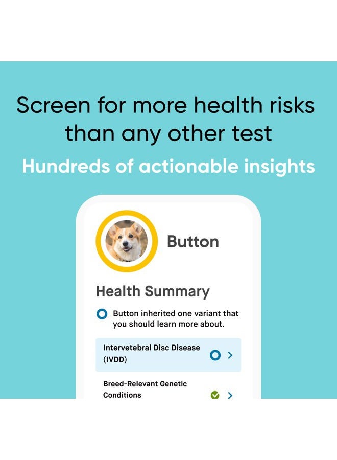 EMBARK Breed & Health Kit - Dog DNA Test - Discover Breed, Ancestry, Relative Finder, Genetic Health, Traits, COI - Image 2