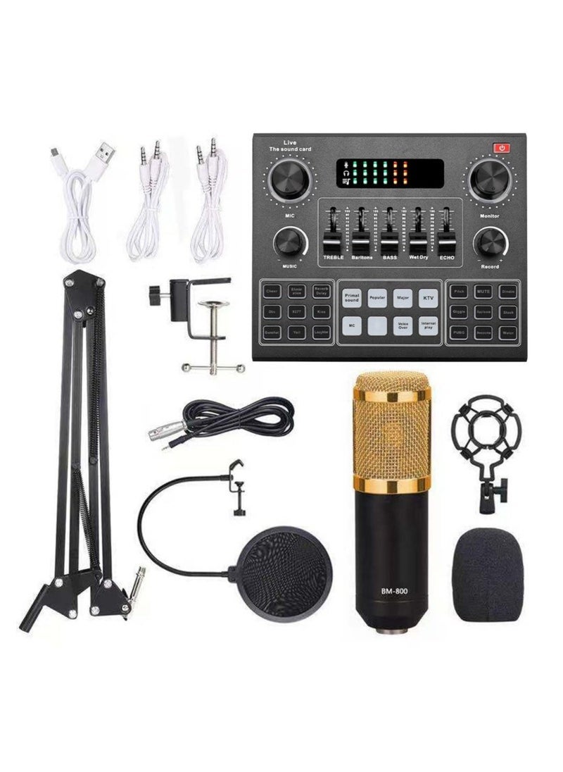 ELTRAZONE - V9 Sound Card with BM800 Pro Condenser Microphone – High-Quality Capacitor Recording Microphone & Audio Interface for Studio, Live Streaming, Podcasting, and Professional Stereo Sound – Compatible with PC, Laptop, and Mobile Devices - Image 1