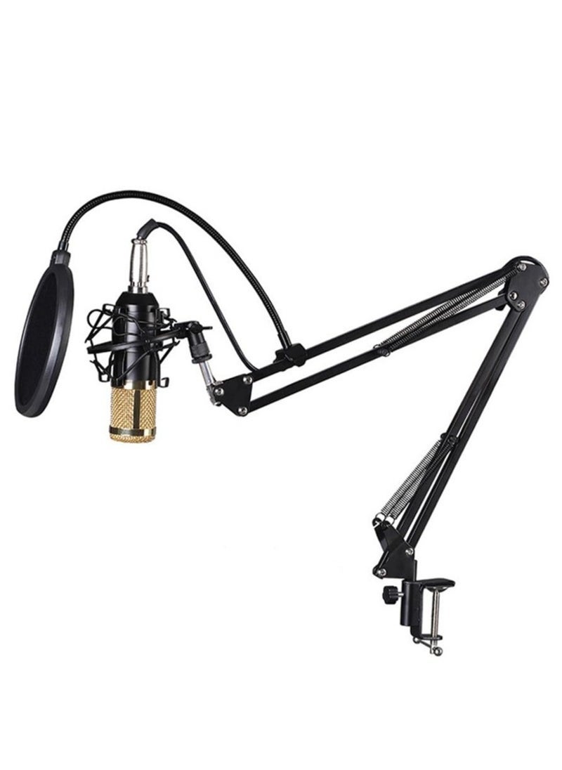ELTRAZONE - V9 Sound Card with BM800 Pro Condenser Microphone – High-Quality Capacitor Recording Microphone & Audio Interface for Studio, Live Streaming, Podcasting, and Professional Stereo Sound – Compatible with PC, Laptop, and Mobile Devices - Image 1