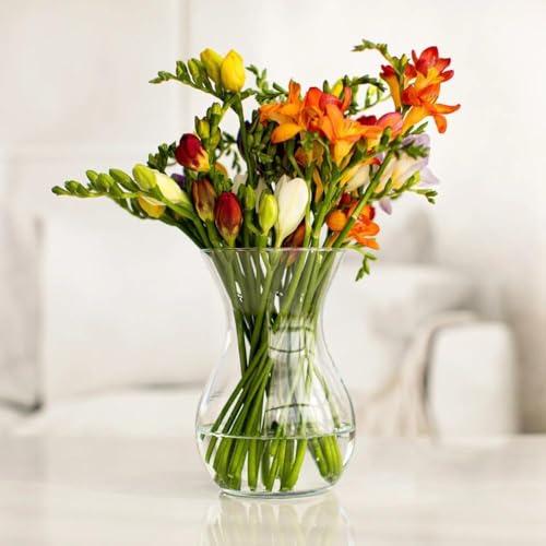 Incrizma Vase Glass Flower Vase, Clear Transparent Crystal Transparent Vases for Vases for Living Room, Dining Table Centerpieces Décor (20 cm) - Image 2