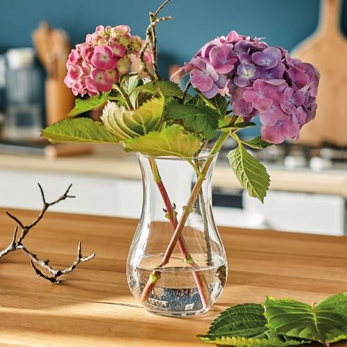 Incrizma Vase Glass Flower Vase, Clear Transparent Crystal Transparent Vases for Vases for Living Room, Dining Table Centerpieces Décor (20 cm) - Image 4