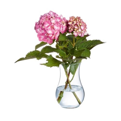 Incrizma Vase Glass Flower Vase, Clear Transparent Crystal Transparent Vases for Vases for Living Room, Dining Table Centerpieces Décor (20 cm) - Image 3