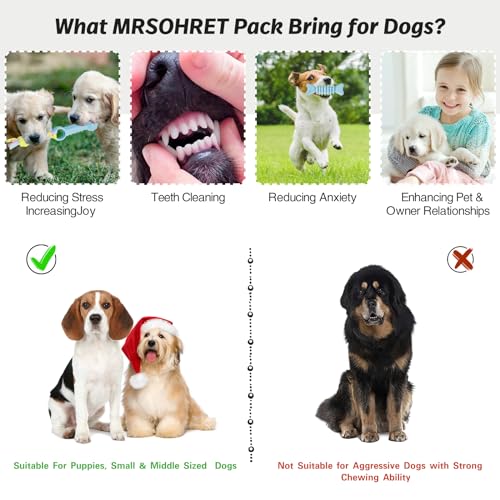 MRSOHRET Puppy Toys, 8 Pack Puppy Chew Toys for Teething, Cute Blue Small Dog Toys Set, Teething Toys for Puppies, Soft Durable Interactive Chew Toy for Small Dogs - Image 3