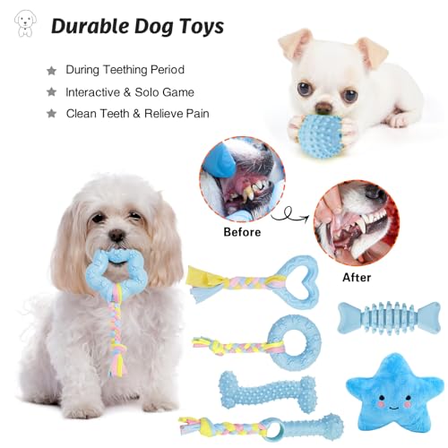 MRSOHRET Puppy Toys, 8 Pack Puppy Chew Toys for Teething, Cute Blue Small Dog Toys Set, Teething Toys for Puppies, Soft Durable Interactive Chew Toy for Small Dogs - Image 5